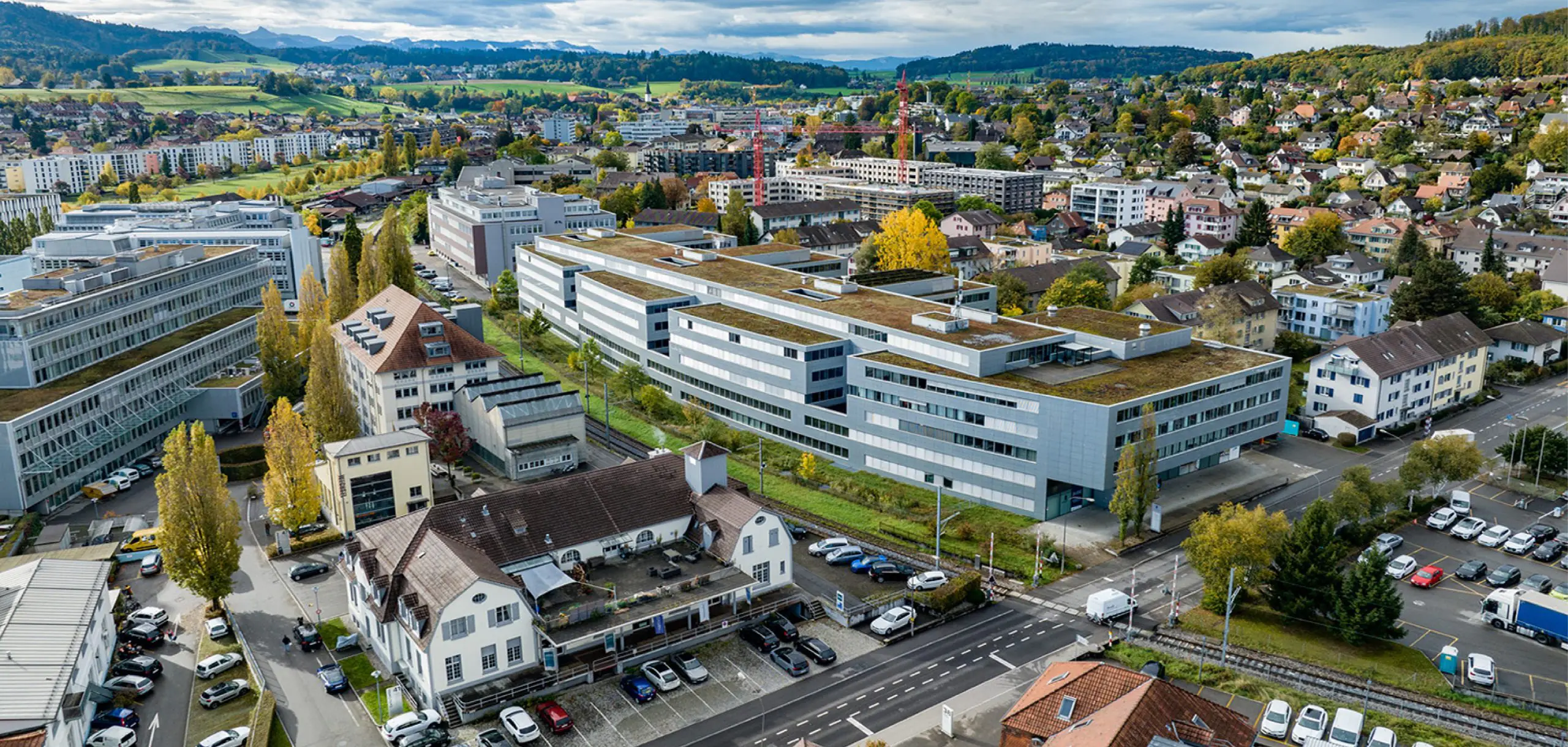 Liebefeld Web Scaled