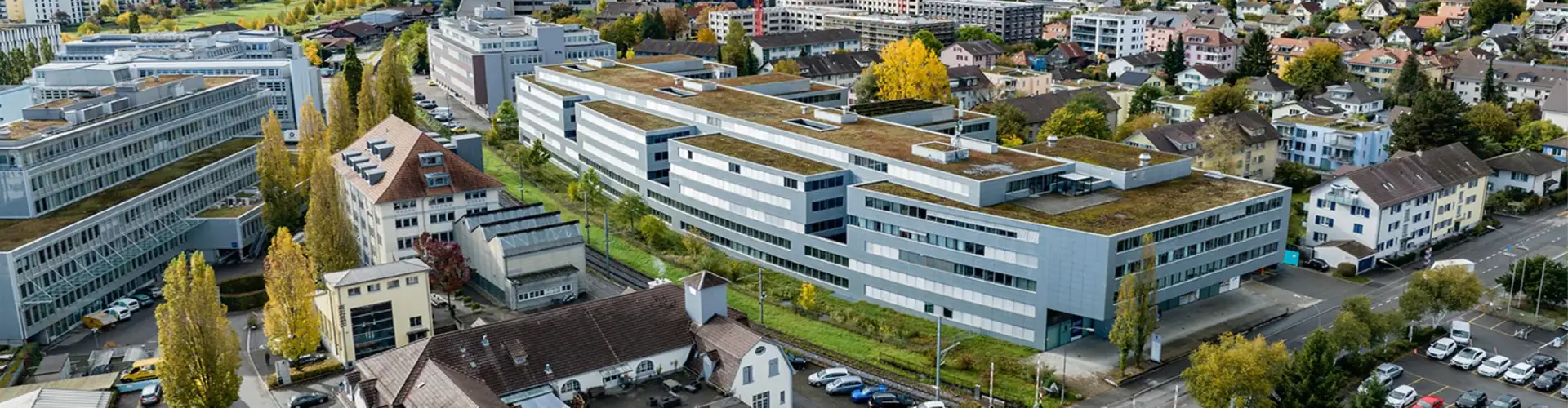 Liebefeld Web Scaled